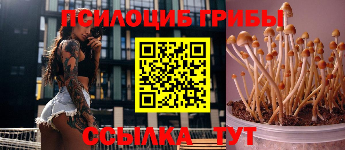Галлюциногенные грибы ЛСД Камень-на-Оби