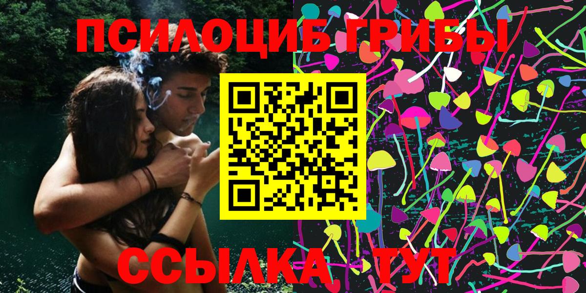 Галлюциногенные грибы MAGIC MUSHROOMS  Вход с VPN  Камень-на-Оби 